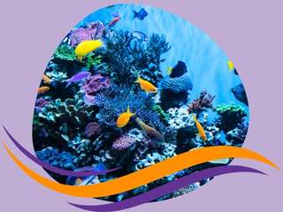 A photo of fish in an aquarium